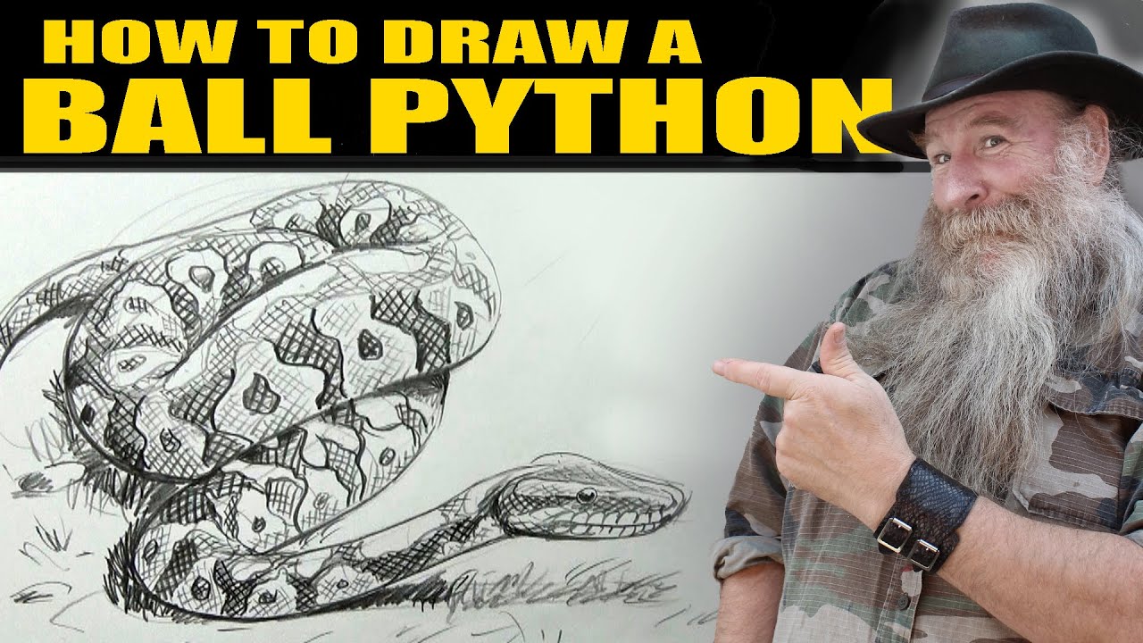 巨蟒蛇才是世界上最大的蛇,比500米巨蟒还厉害的蛇