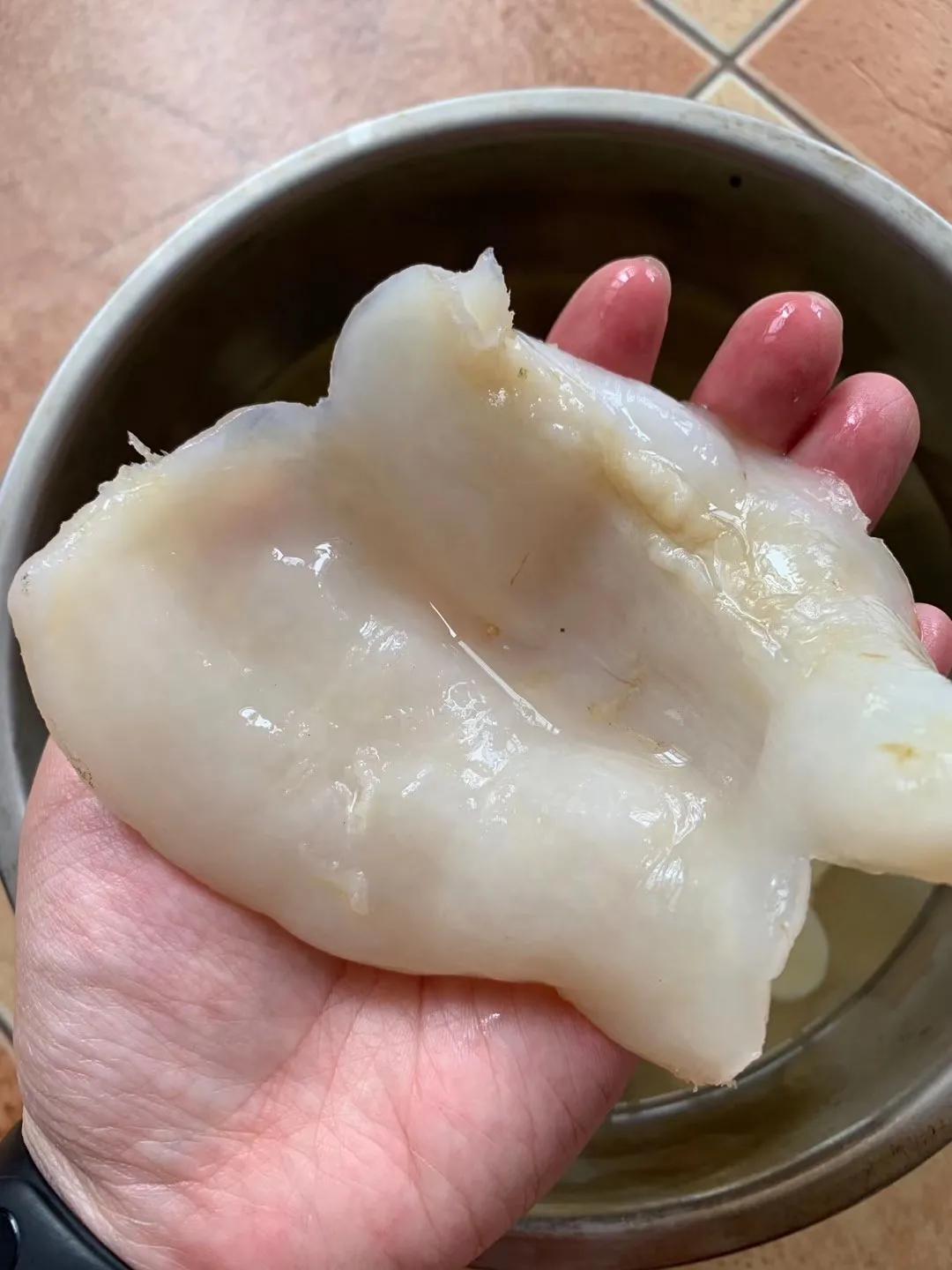 花胶有没有效果,花胶真的养颜吗