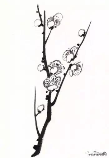 图文教程一学就会画写意菊花,零基础学画梅花教程