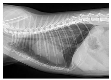 熊孩子气炸家长,气炸家长熊孩子