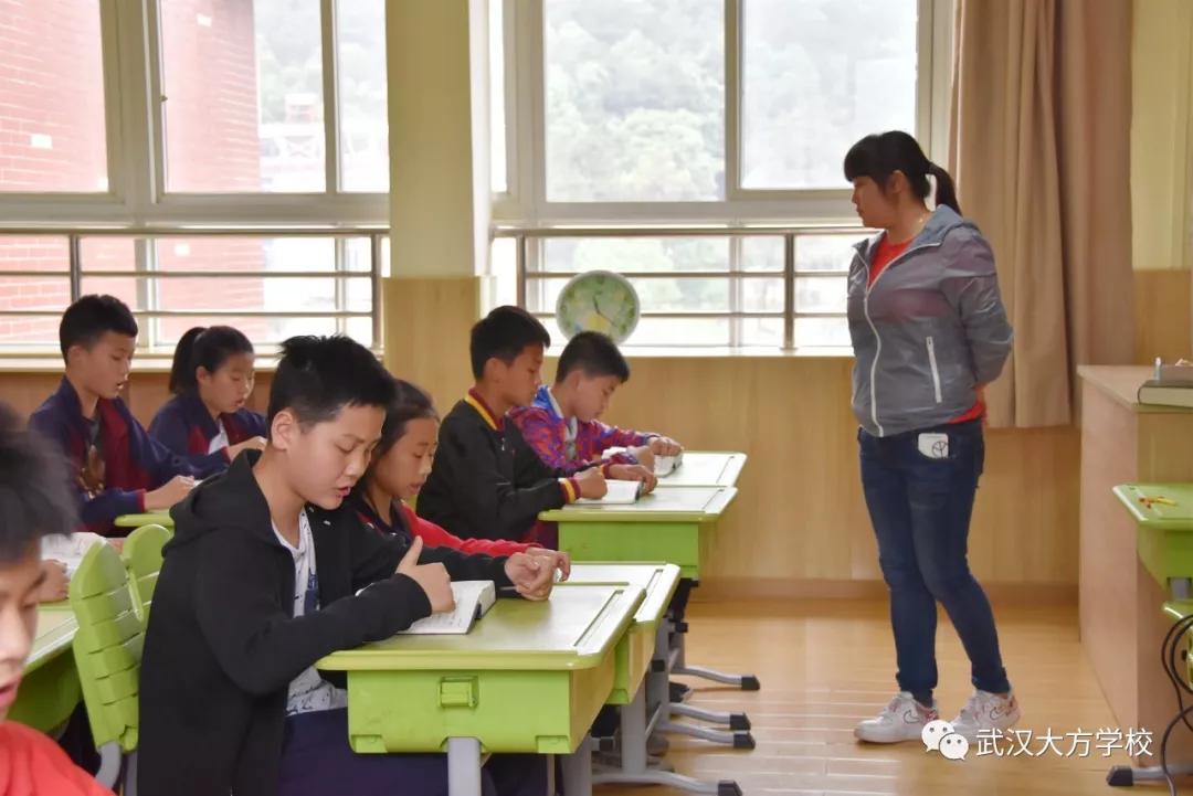 湖北新高考改革专业最新政策,武汉新高考改革方案