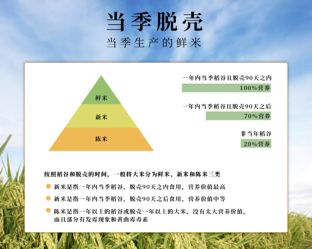 镉大米为何连年屡禁不止,镉大米会二次污染吗