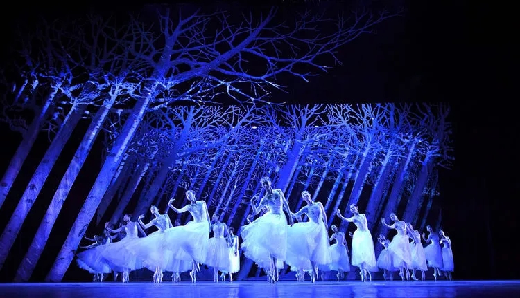 辽芭芭蕾舞学校,辽芭芭蕾舞团是什么学历