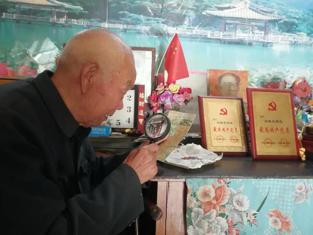 王德元烈士,河南省革命烈士王德元