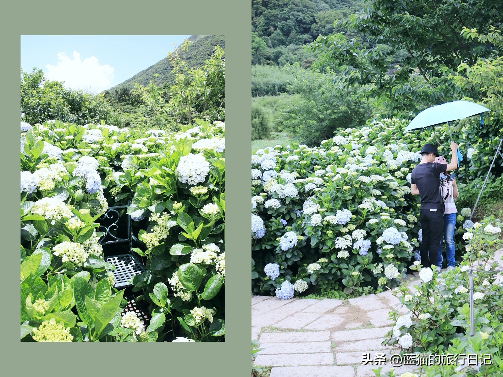 520最浪漫的旅游地,520浪漫出游地