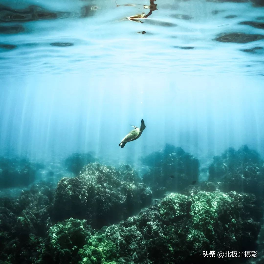 手机摄影的八大功能,手机摄影的几种功能