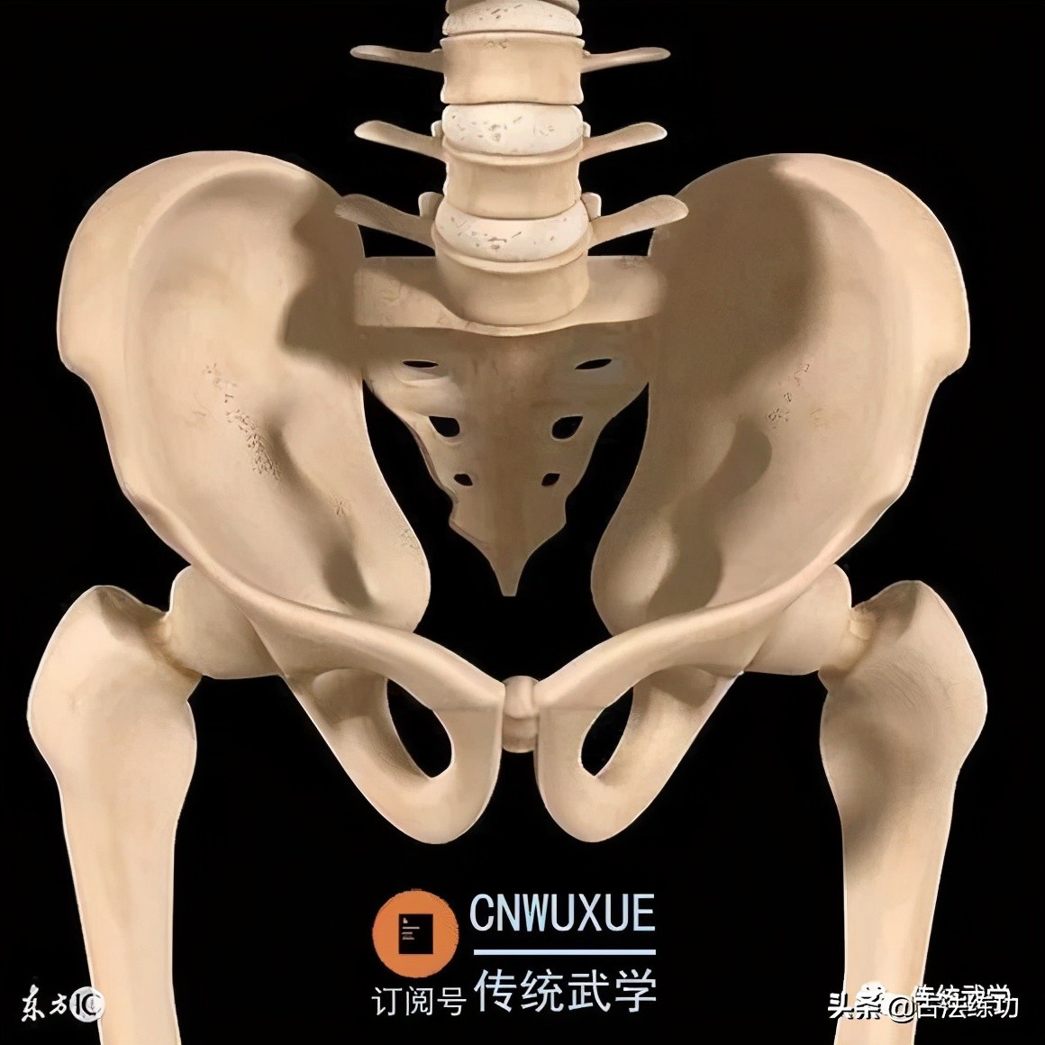 髋关节矫正,如何保护髋关节