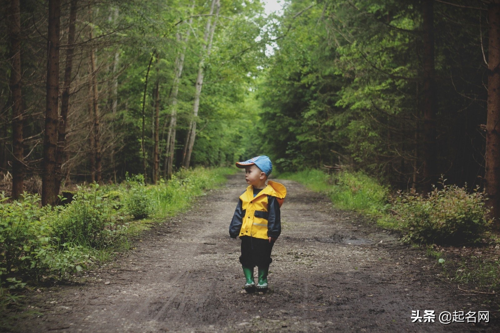 文艺小众男孩名,颜值高又聪明的男孩名