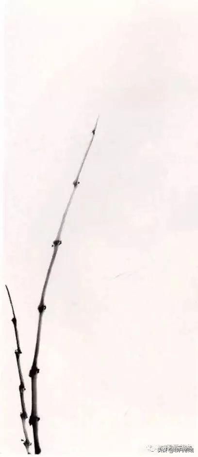 国画教程竹子的写意画法,国画写意竹子画法步骤