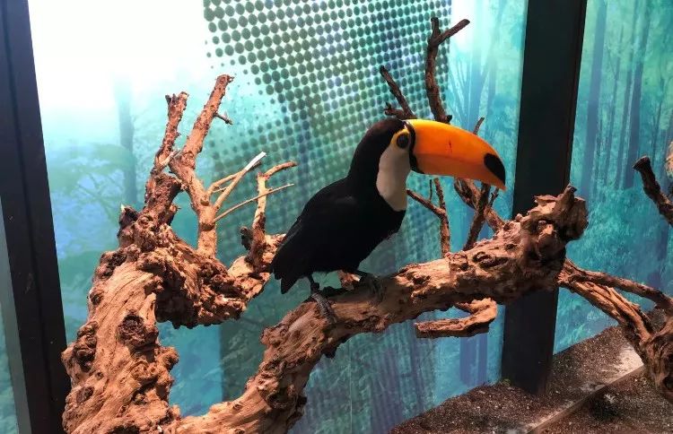 武汉带孩子吃喝游玩地方推荐,武汉吃喝玩乐指南