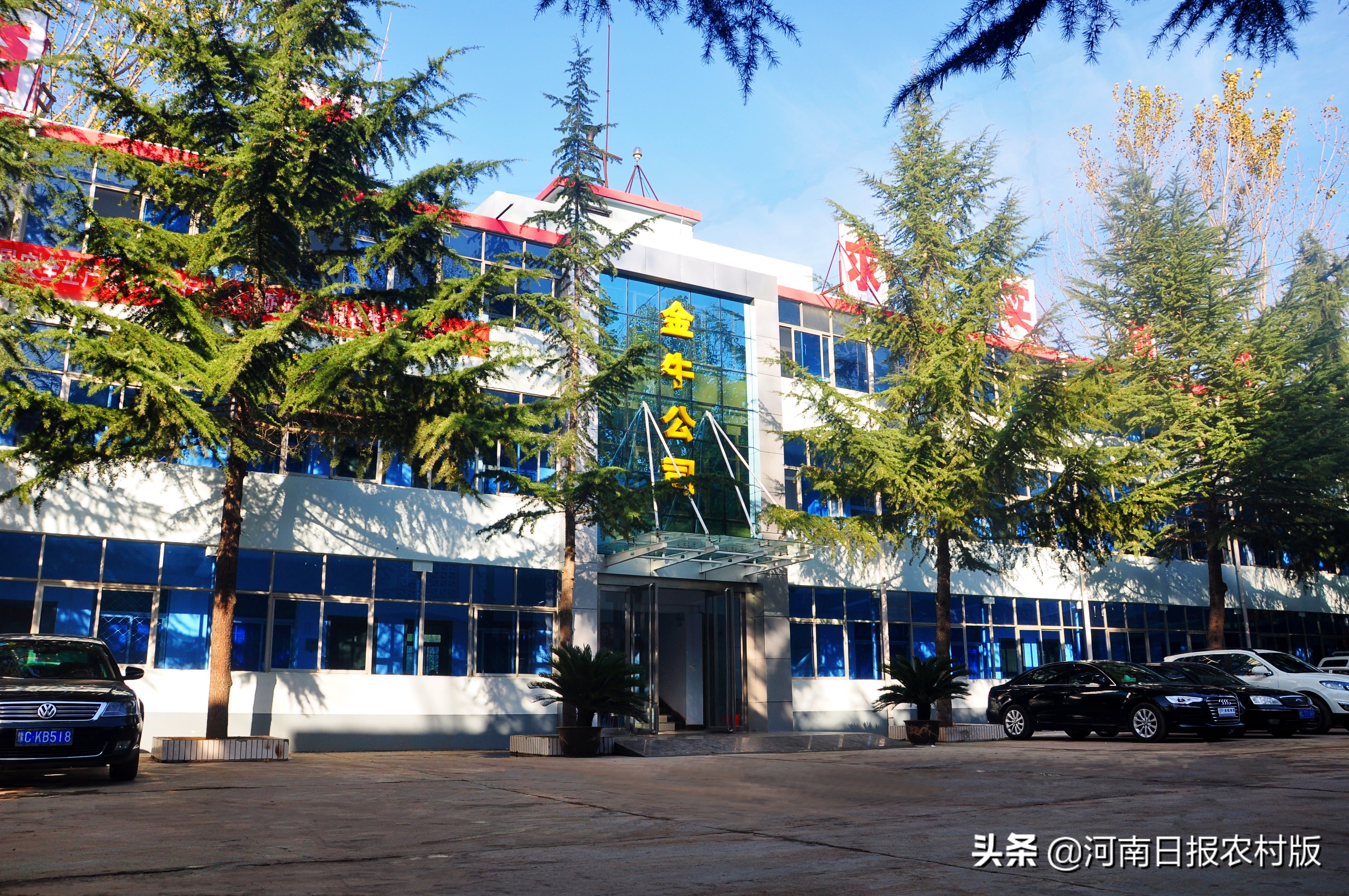 中金嵩县金牛公司坚持经济发展和环境保护“两手抓”——缔造绿色矿山高质量发展典范