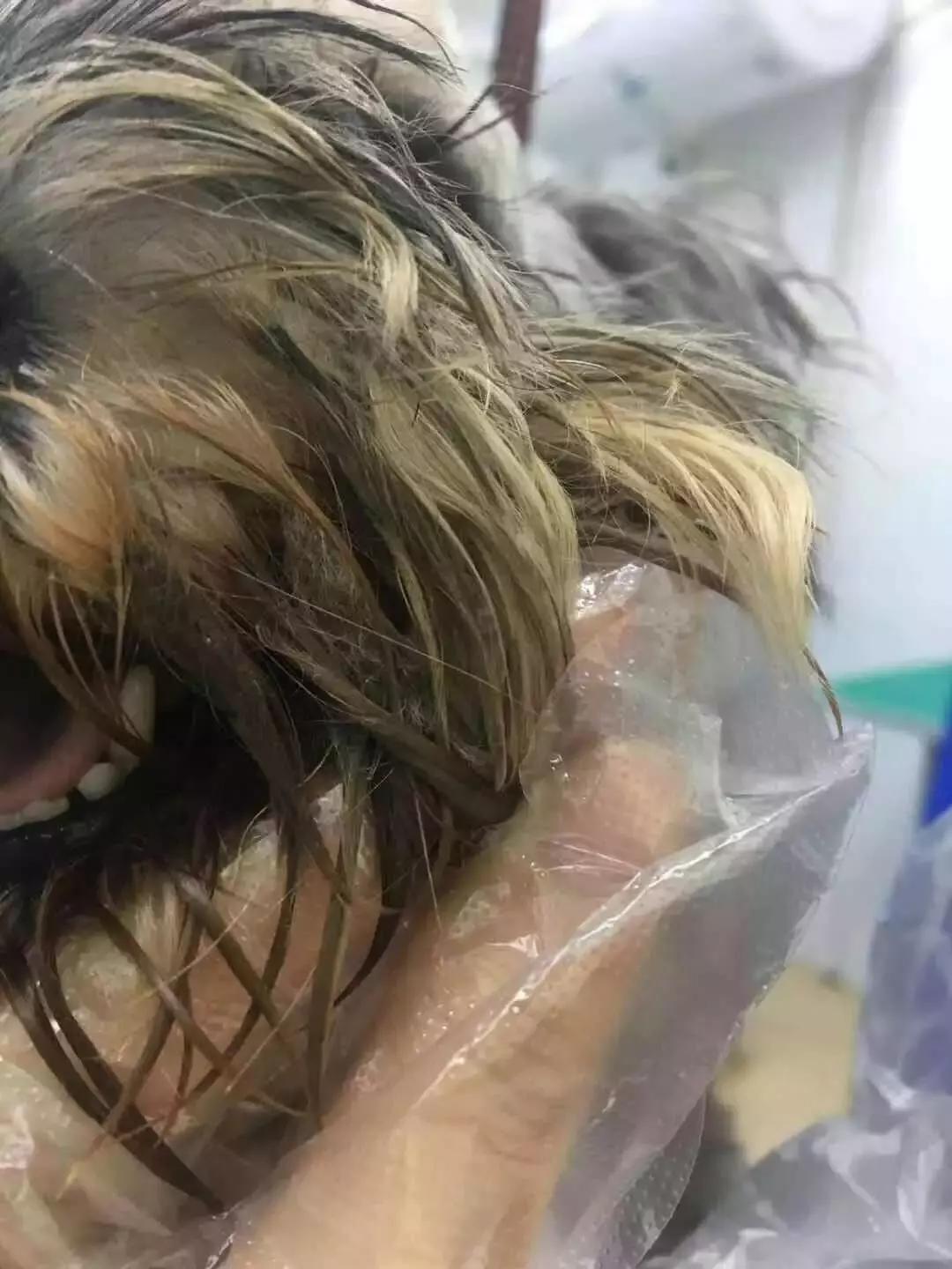 福懋宠物医院驱虫,福懋宠物医院母狗绝育