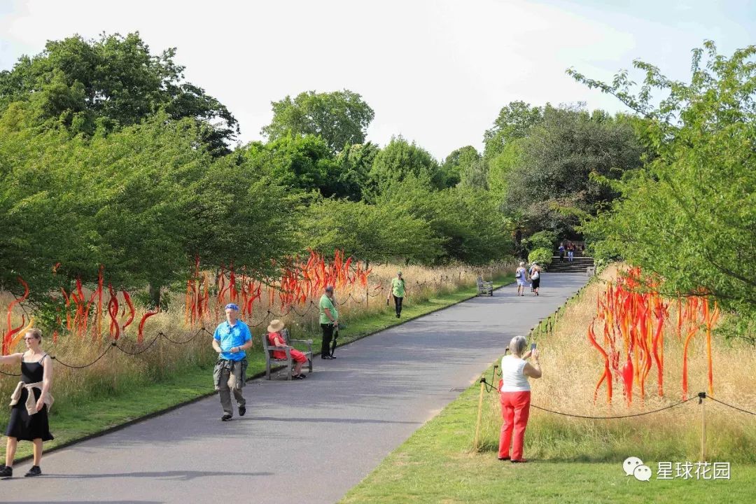 二木带你游花园|邱园（kewgarden）离我们到底有多远？