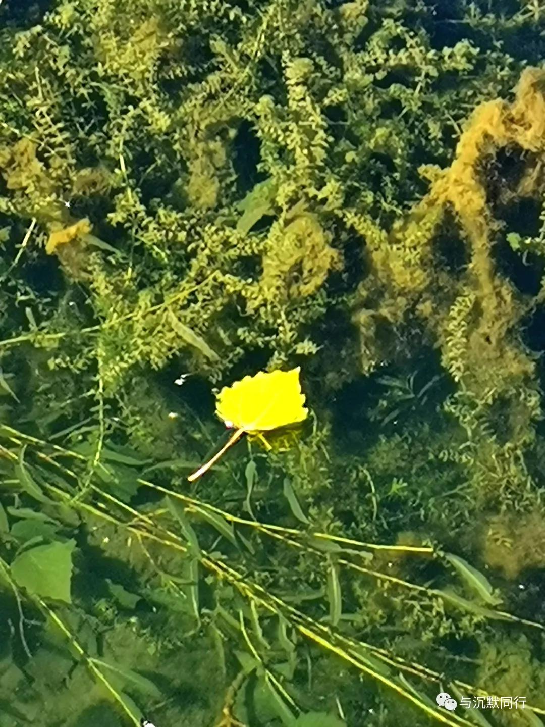 2022后海元旦,2017后海