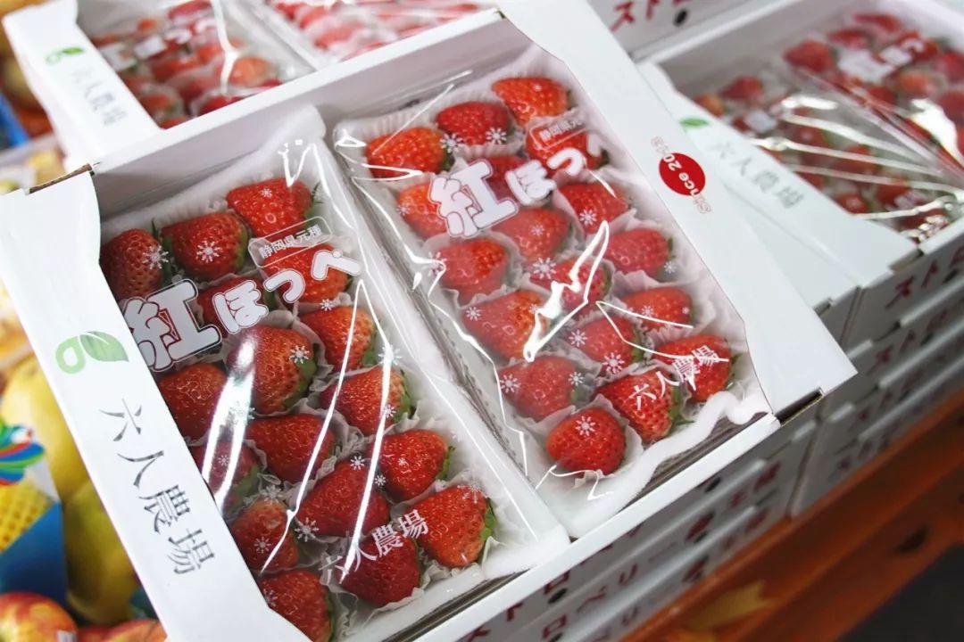 选购年货好去处,买年货好去处