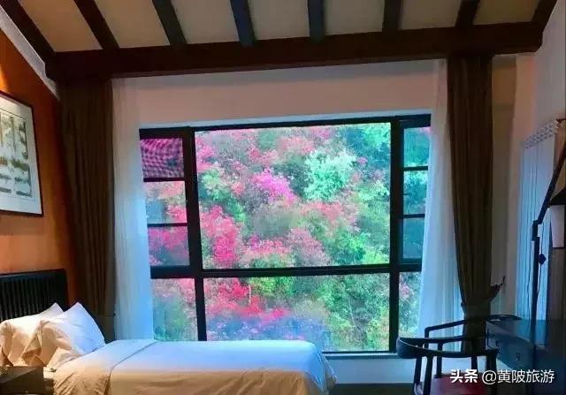 清凉寨樱花最佳赏花时间,清凉寨中华樱花