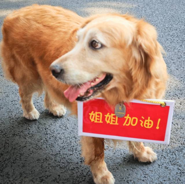 盘点那些高考出来的搞笑事件,笑惨事件