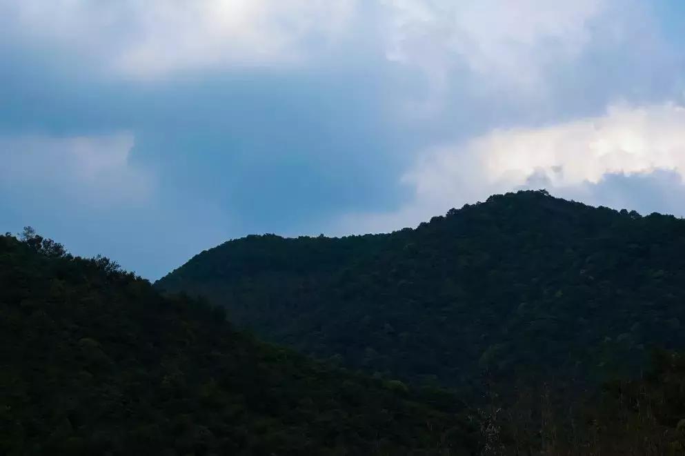 遗世独立的隐居酒店，大自然的馈赠——宁海安岚酒店