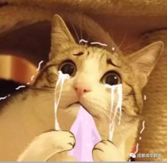 追梦新时代圆形主题绘画,追梦新时代主题绘画四年级彩铅