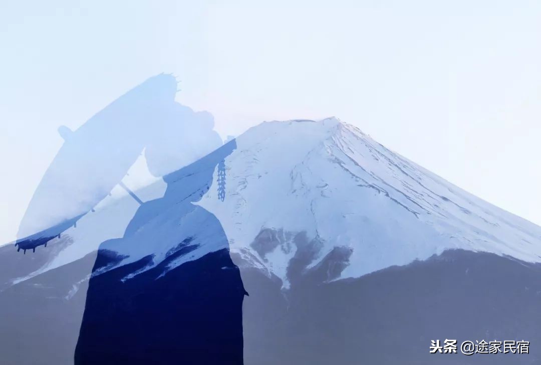 代购内幕德国,揭秘日本代购的内幕