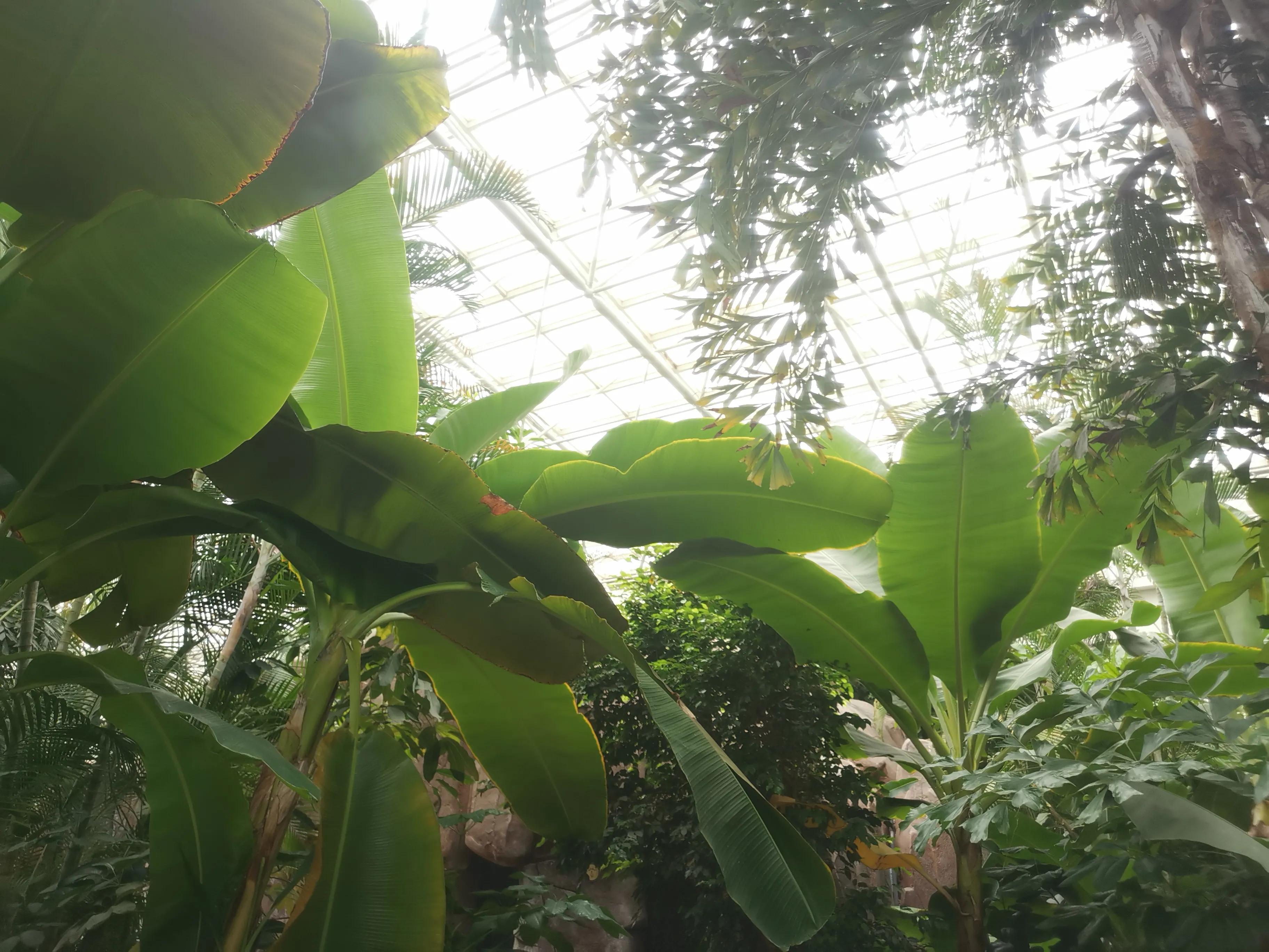 凤山温泉,北京金隅凤山温泉特色