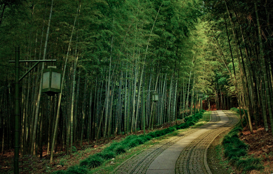 带你游杭州,从南京出发杭州周边城市旅游攻略