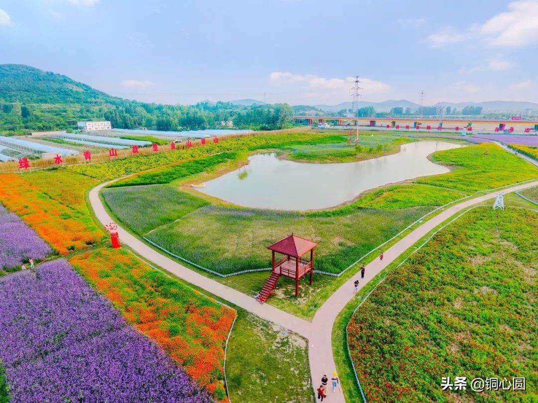 铜山,你还想怎么样