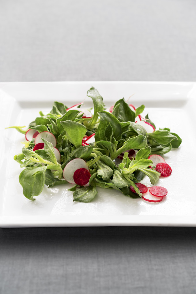 海洋光谱号邮轮旅游攻略,杭州光谱号游轮攻略