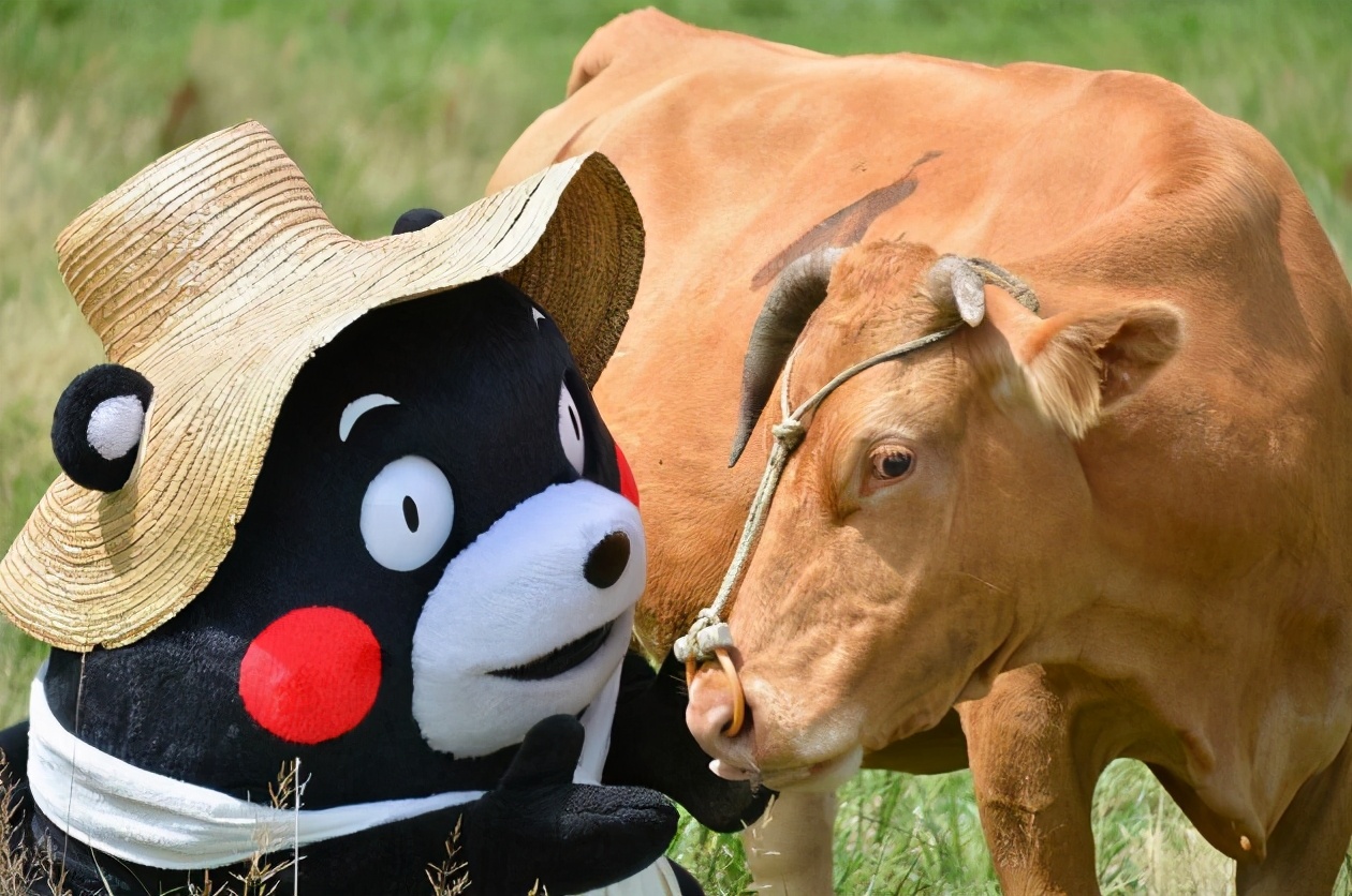 玩转日本东京大阪奈良,日本关东自由行旅行攻略