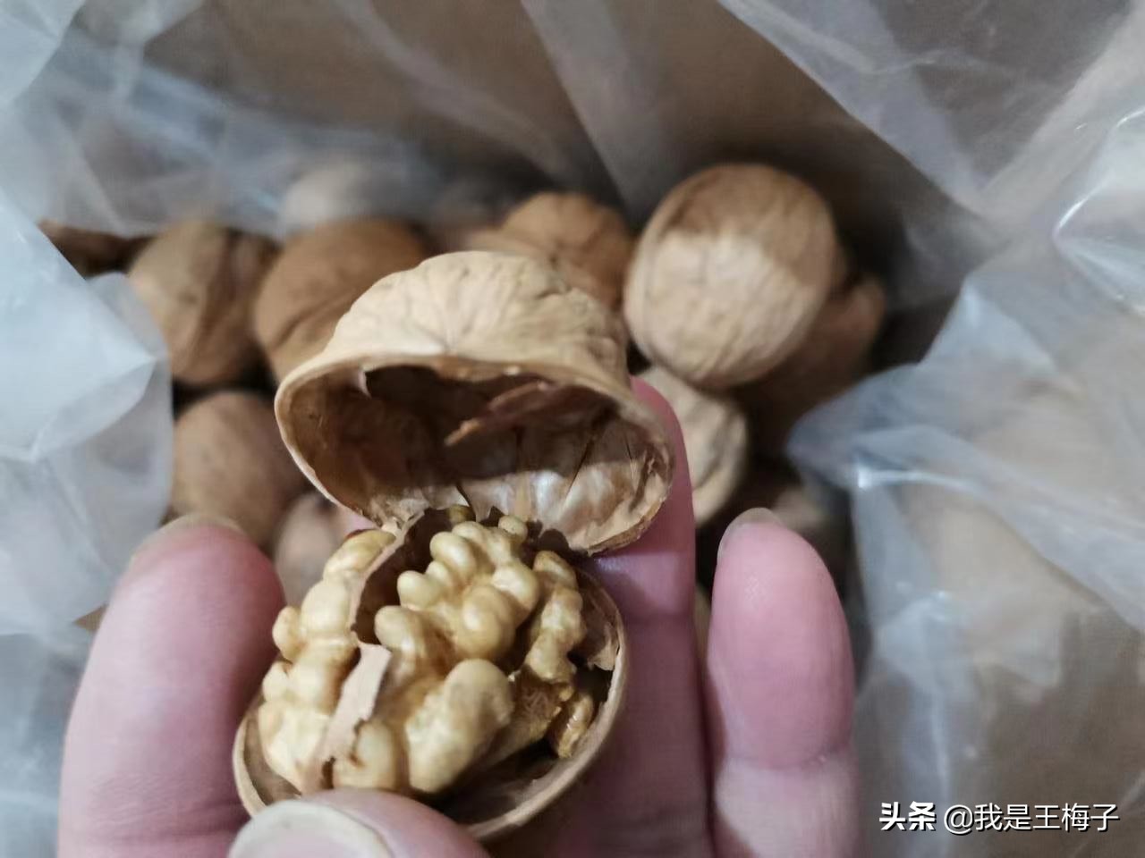 核桃产地哪里的最好吃,核桃的产地哪里的最好最正宗呢