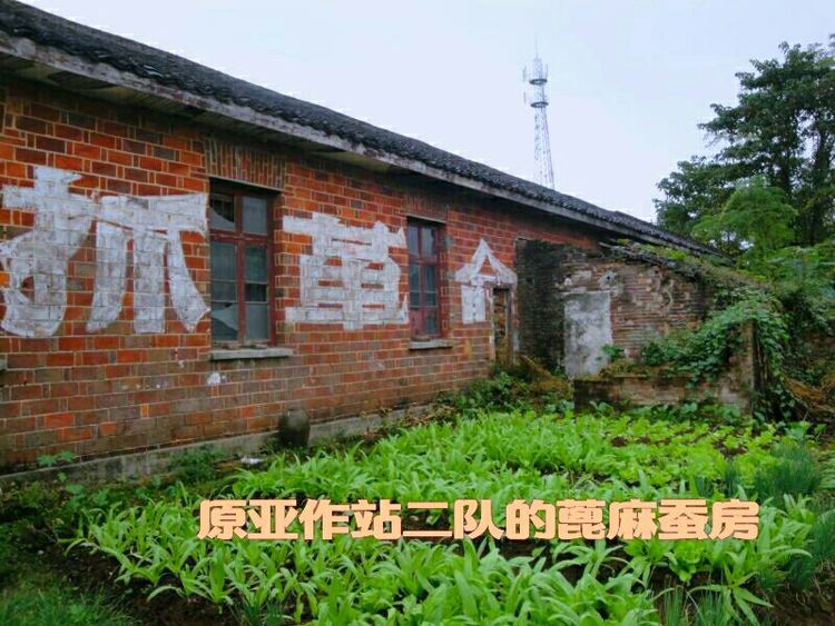 难以释怀的知青情结,60年代的知青情结