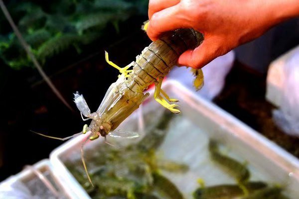 三亚旅游最详细自由行攻略,三亚旅行详细攻略自由行