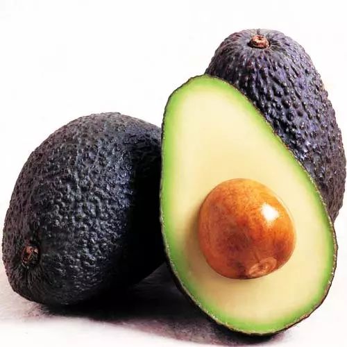 三十种不能吃的小食品,不能喂猫的食物