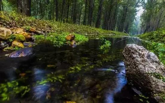 北京这38个森林公园您先收藏了!定个小目标,有空儿玩个遍!