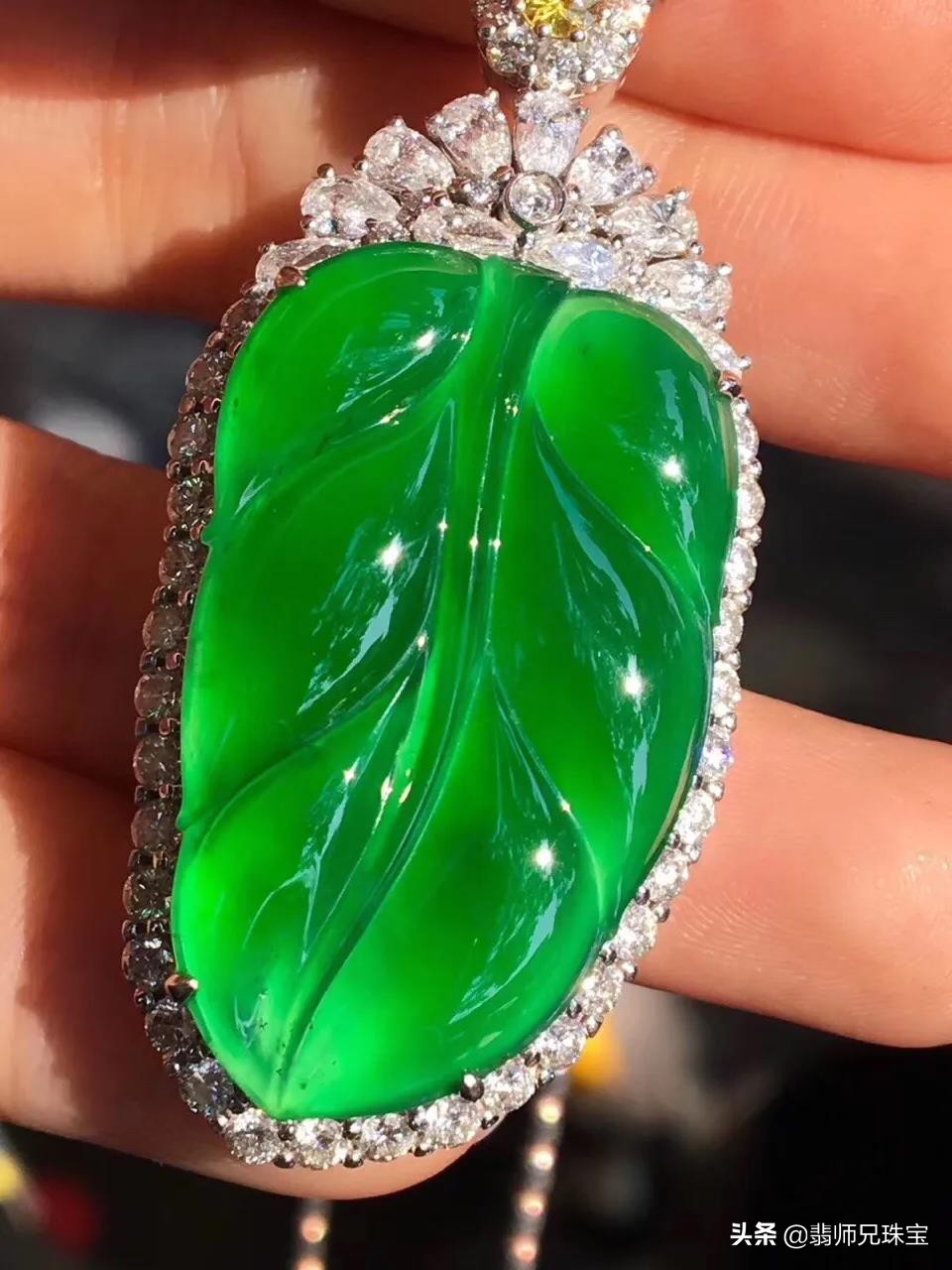 阳绿晴绿辣绿帝王绿区别,辣阳绿和帝王绿的区别