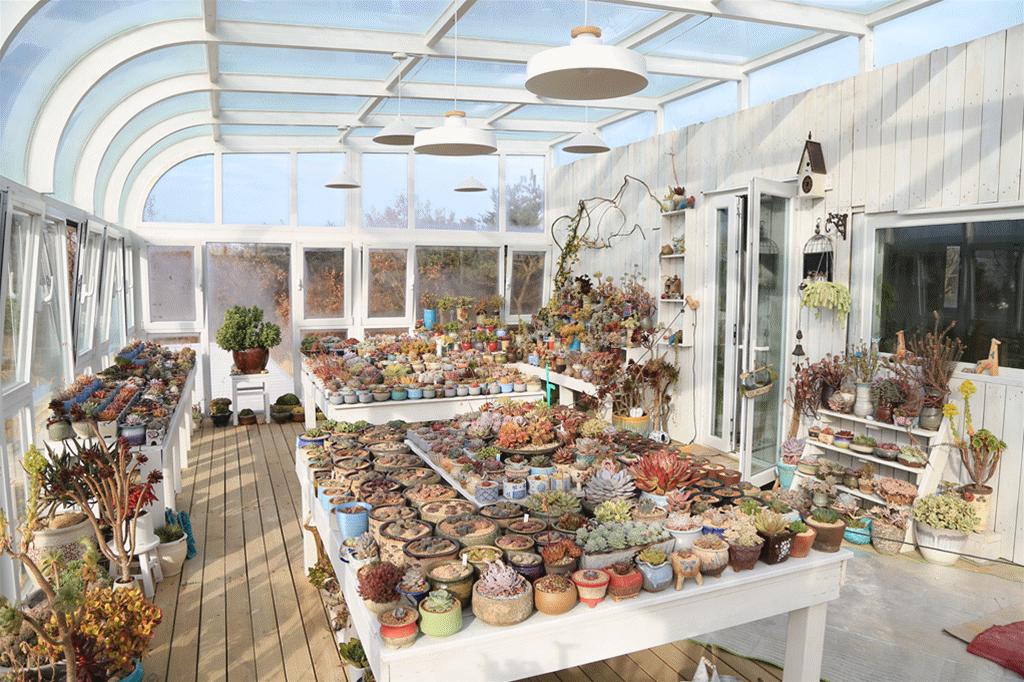 澶氳倝澶х浜屾湪,澶氳倝杈句汉浜屾湪