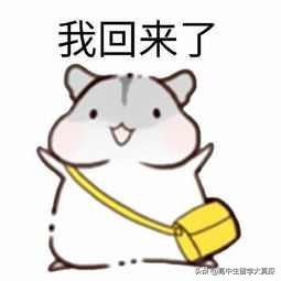 关于出国，这篇文章可能会*翻推**你的幻想