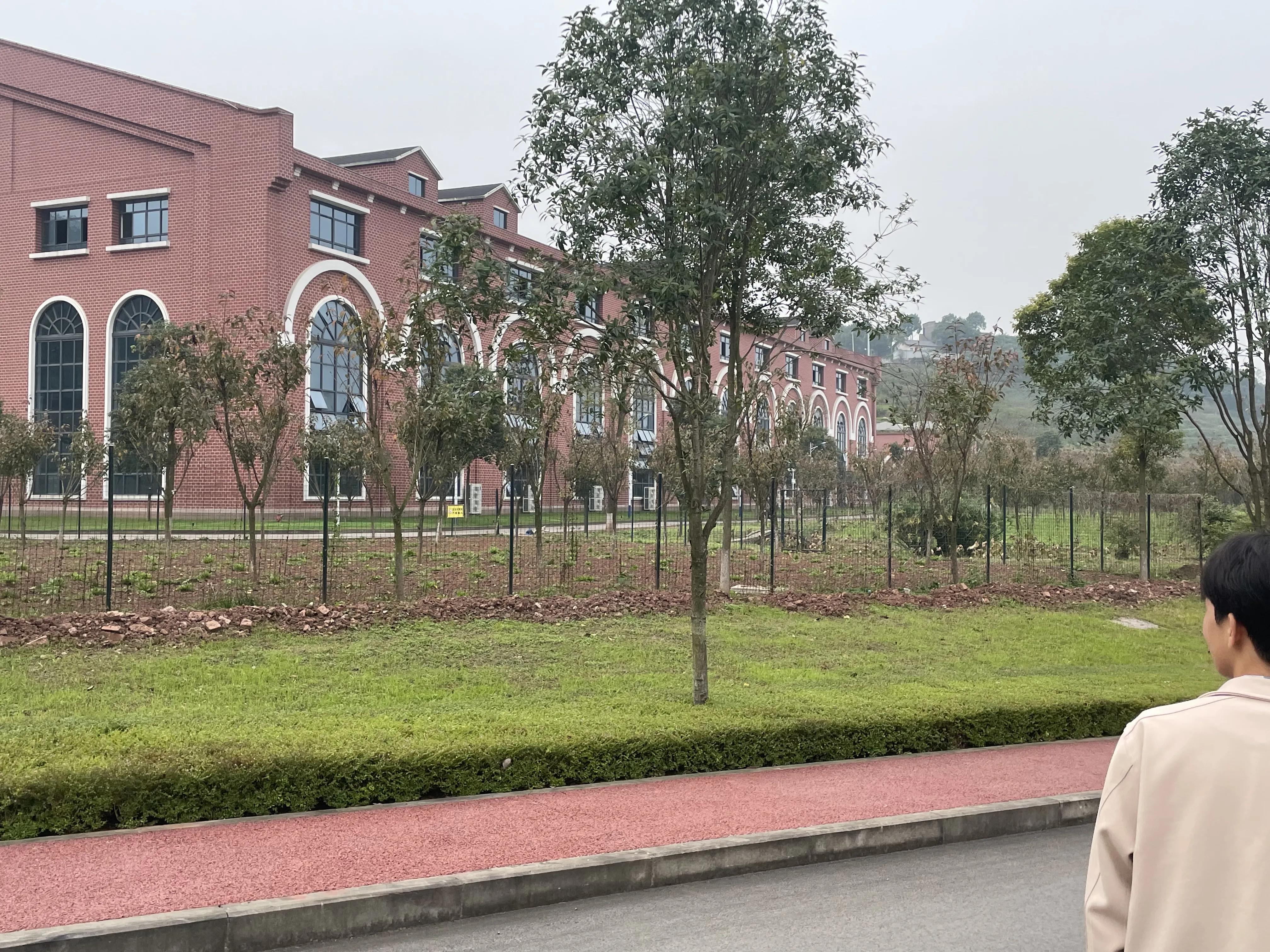 大学毕业后该怎么办,大学生毕业后预备党员转正怎么办