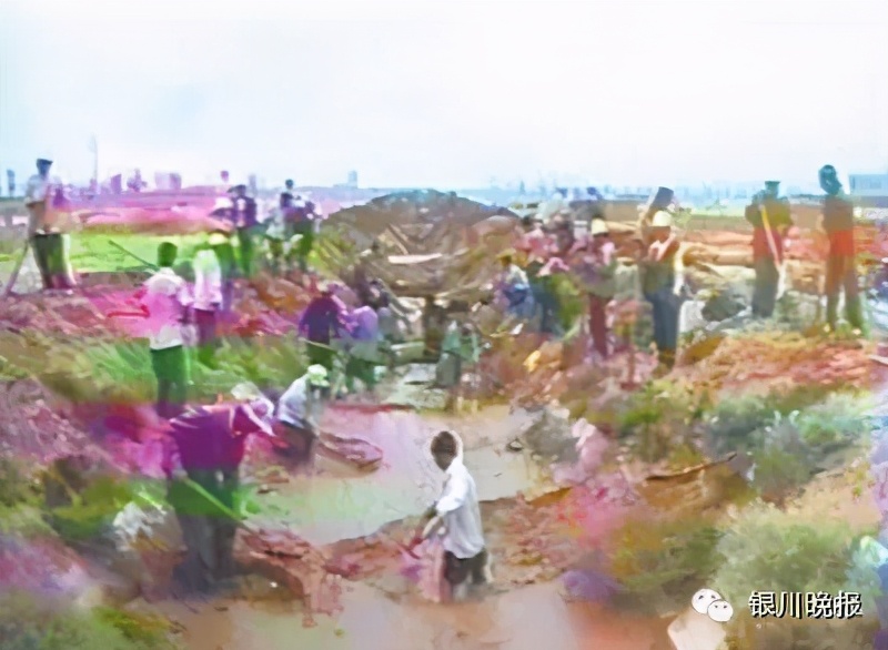 闽宁镇如何从干沙滩变金沙滩,闽宁镇如何从干沙滩变成金沙滩