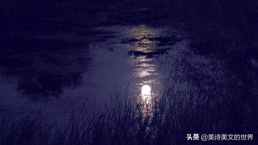 和尚钓鱼,和尚钓鱼完整版视频