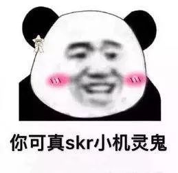 爱肯拿变爱肯狗，巅峰耍猴回E宠，安娜不提供售后，各种假代理