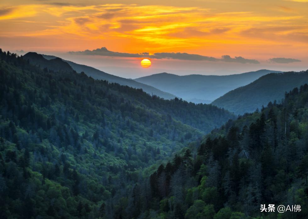 美国最受欢迎的五个州,美国最受欢迎的景点排行榜