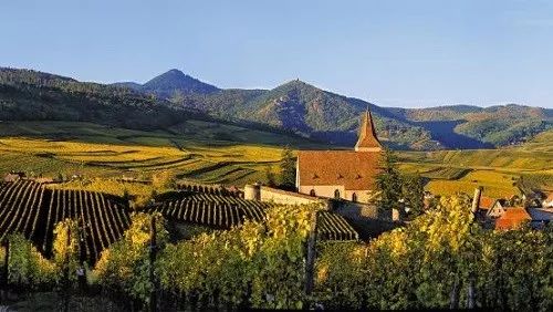 aoc产区是指哪些产区,法国有多少个aoc产区