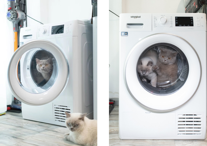 懒癌晚期患者被智能家居拯救,最适合懒人的智能家