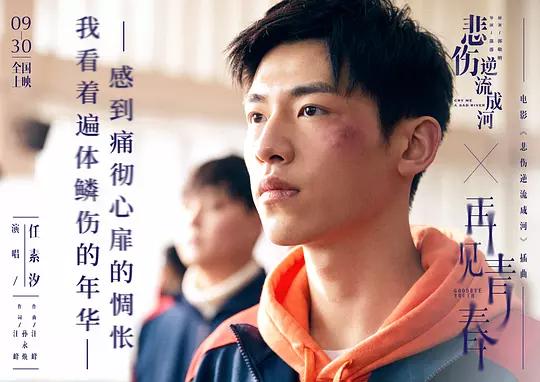 青春的黑暗，校园中的伤害，阳光之中总有潜藏的黑暗的角落