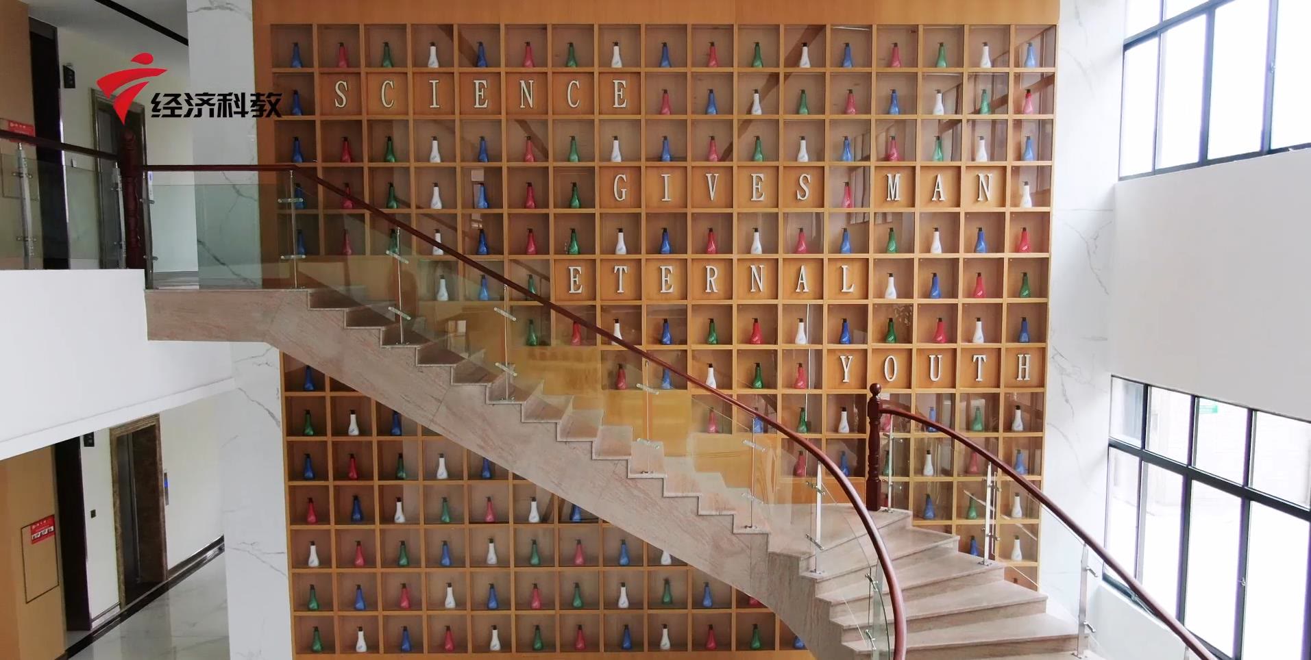 广东新焦点最新视频,广东新焦点科技