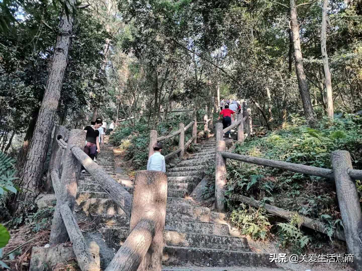 惠州市惠阳区亚公顶森林公园游记,惠阳亚公顶森林公园怎么走