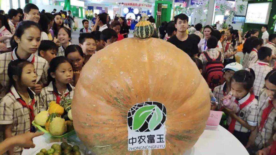 中农富玉大事记,中农富玉未来发展趋势