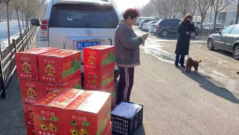 巴彦淖尔滞销梨,巴彦淖尔梨