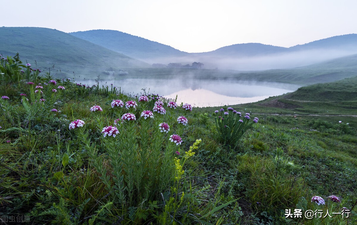华北最大的亚高山草甸圣王坪,华北最大的亚高山草甸